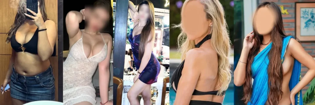 Udaipur Escort Services
